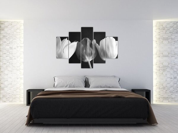 Kép - fekete-fehér tulipán virág (150x105 cm)