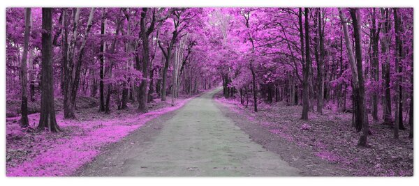 Kép - Út a parkon (120x50 cm)