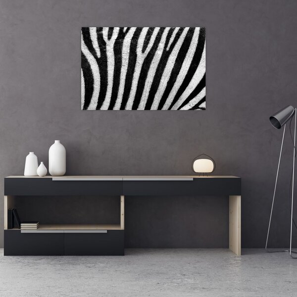 Kép egy zebra bőrről (90x60 cm)