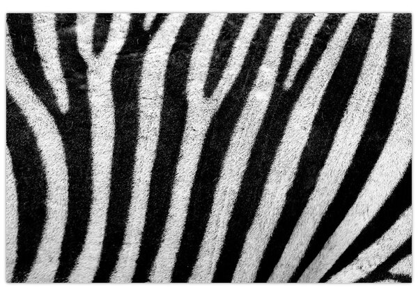 Kép egy zebra bőrről (90x60 cm)