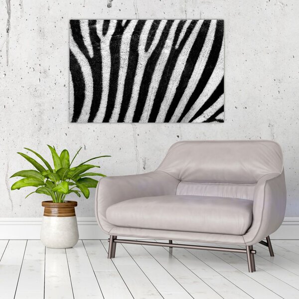 Kép egy zebra bőrről (90x60 cm)