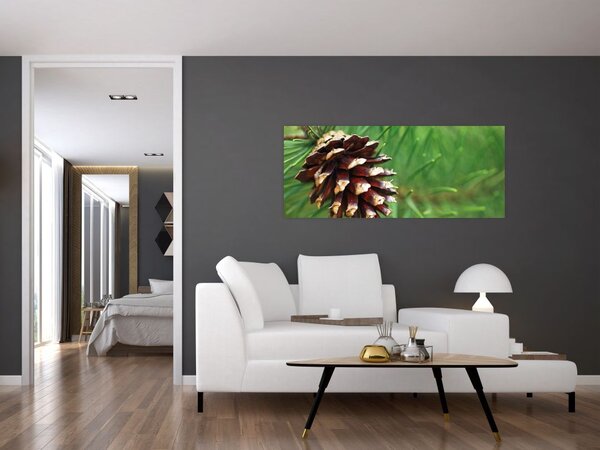 Fenyőtoboz képe (120x50 cm)
