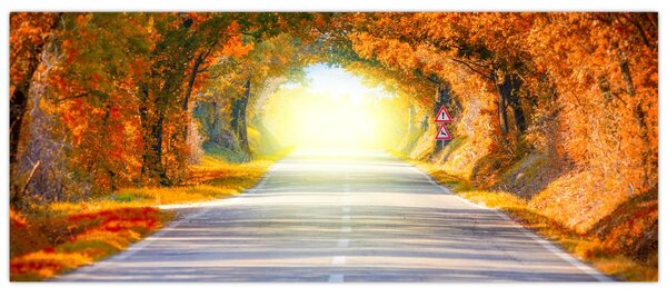 Kép - kapu a fák koronájából (120x50 cm)