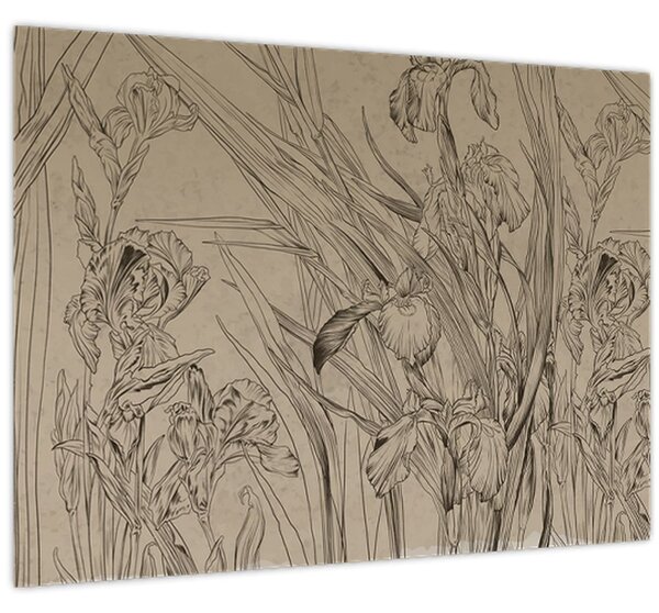 Kép - A növények körvonalai (70x50 cm)
