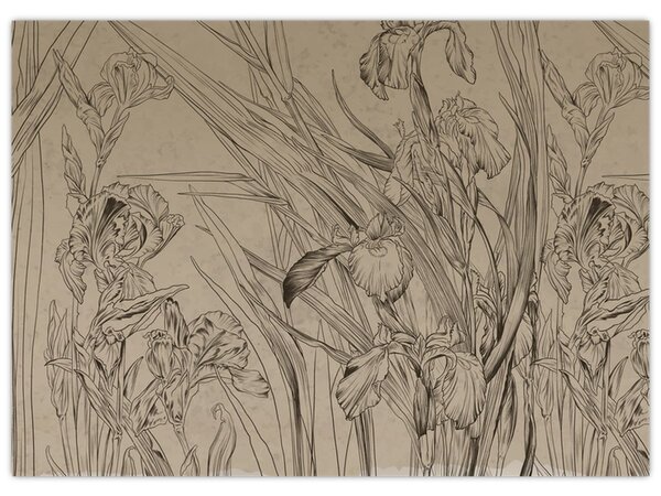 Kép - A növények körvonalai (70x50 cm)