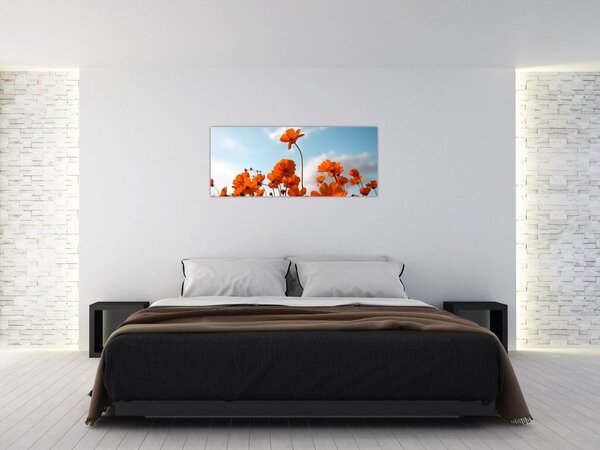 Kép - Réti virágok (120x50 cm)