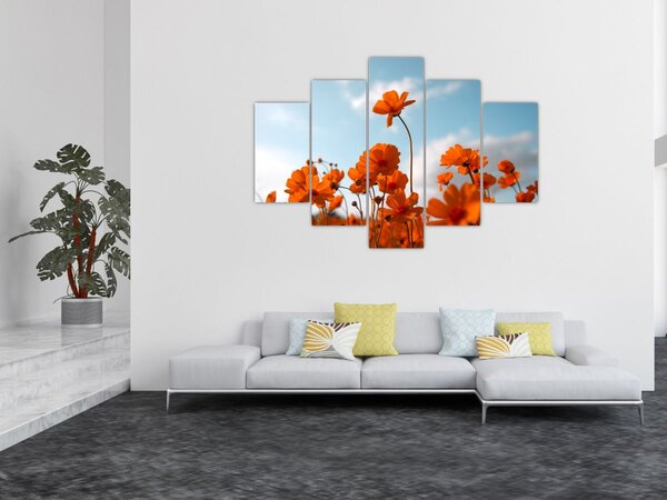 Kép - Réti virágok (150x105 cm)