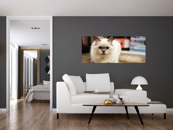 Fehér macska képe (120x50 cm)