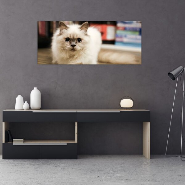 Fehér macska képe (120x50 cm)