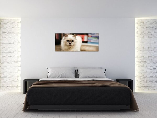 Fehér macska képe (120x50 cm)