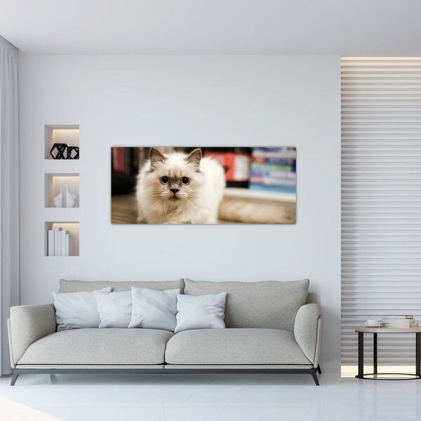 Fehér macska képe (120x50 cm)