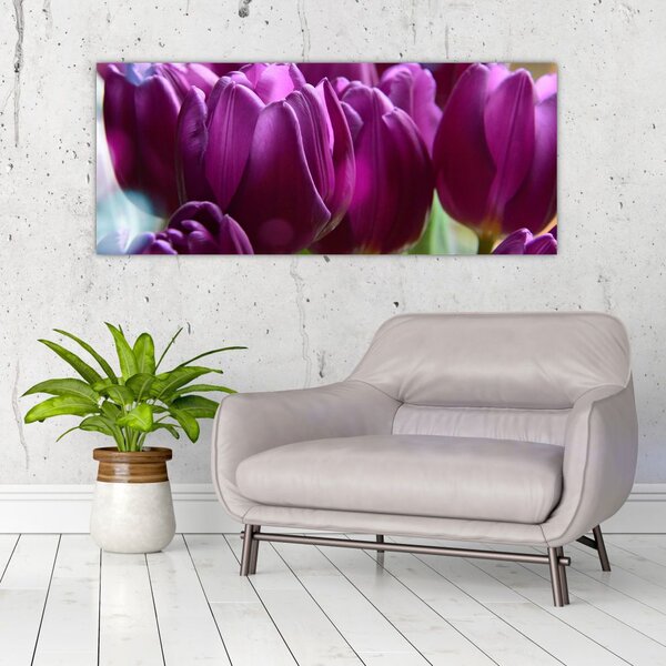 Tulipán képe (120x50 cm)