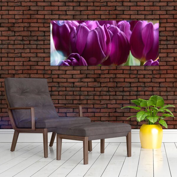 Tulipán képe (120x50 cm)