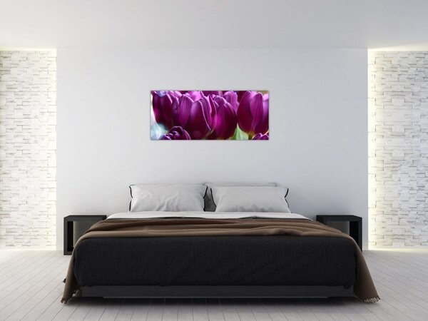 Tulipán képe (120x50 cm)