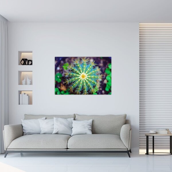 Kaktusz kép (90x60 cm)