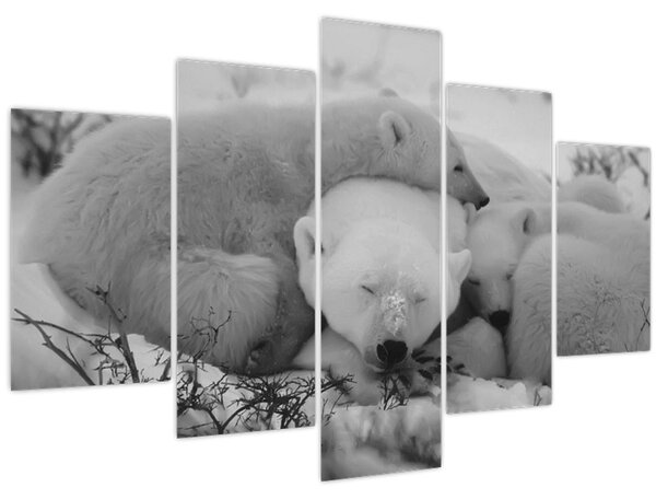 Kép - Jegesmedvék, fekete-fehér (150x105 cm)