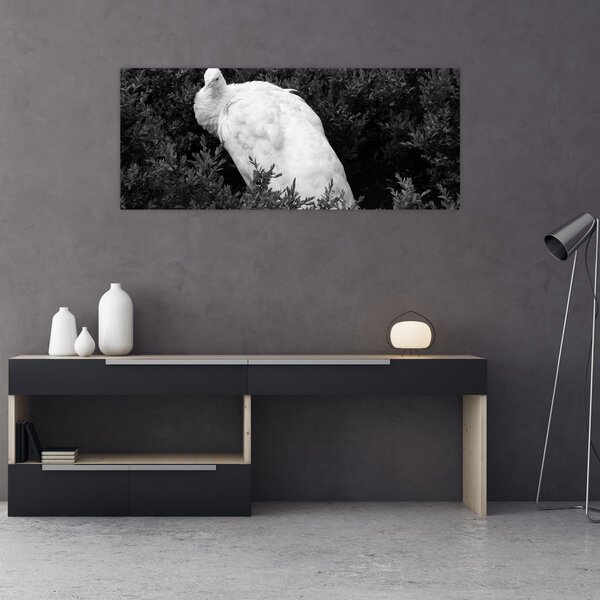 Kép - Páva, fekete-fehér (120x50 cm)