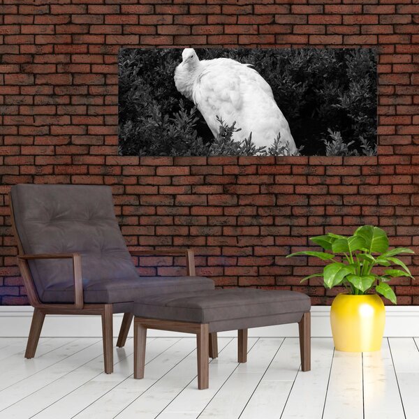 Kép - Páva, fekete-fehér (120x50 cm)