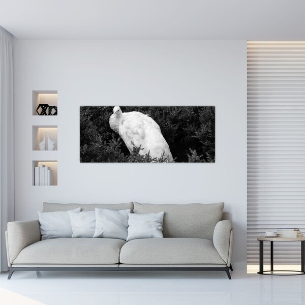 Kép - Páva, fekete-fehér (120x50 cm)