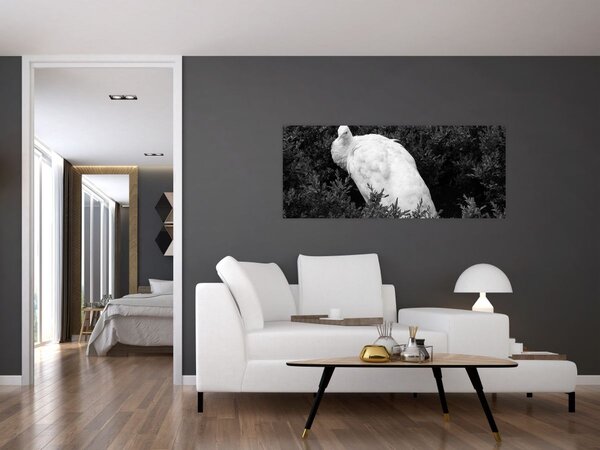 Kép - Páva, fekete-fehér (120x50 cm)