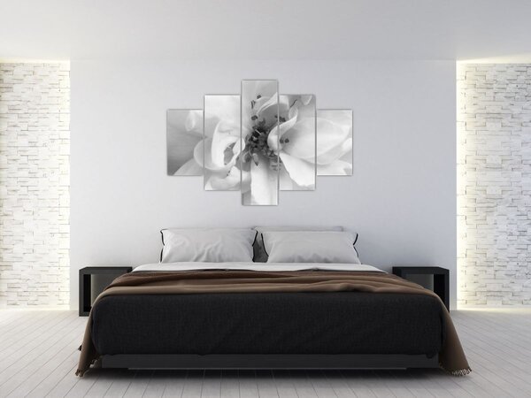 Kép - Virág, fekete-fehér (150x105 cm)