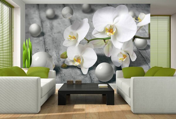 Fotótapéta - Fehér orchidea (152,5x104 cm)