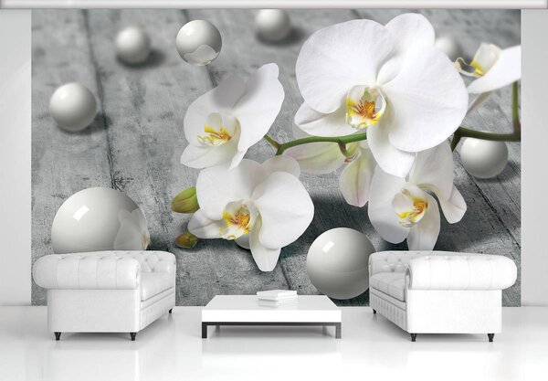 Fotótapéta - Fehér orchidea (152,5x104 cm)