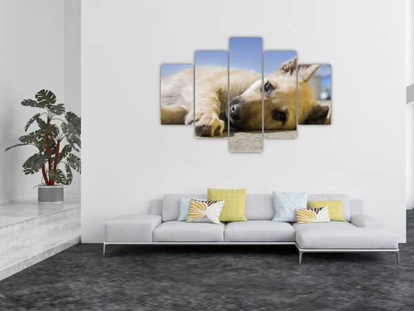 Fekvő kiskutya képe (150x105 cm)