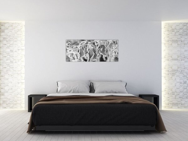 Kép - Fagyott levelek, fekete-fehér (120x50 cm)