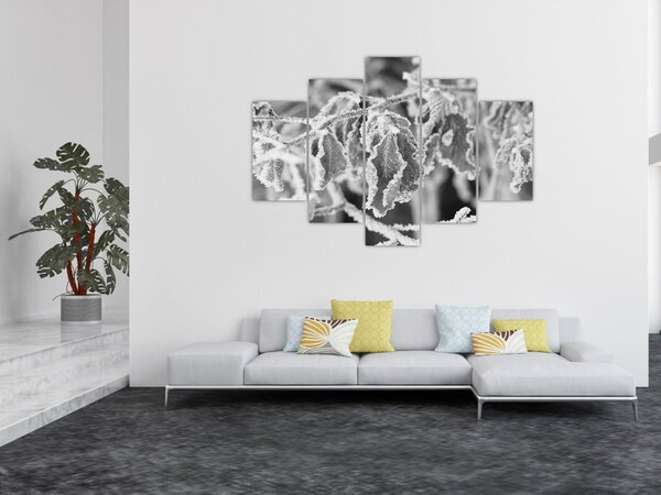 Kép - Fagyott levelek, fekete-fehér (150x105 cm)