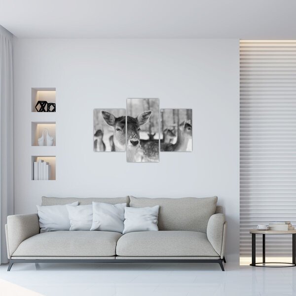 Kép - Szarvas, fekete, fehér (90x60 cm)