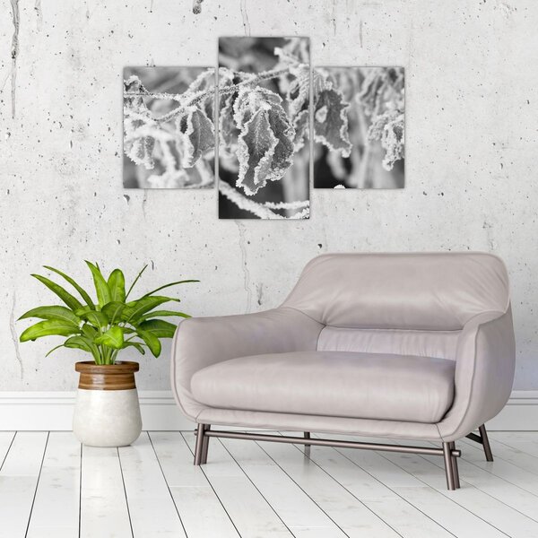 Kép - Fagyott levelek, fekete-fehér (90x60 cm)