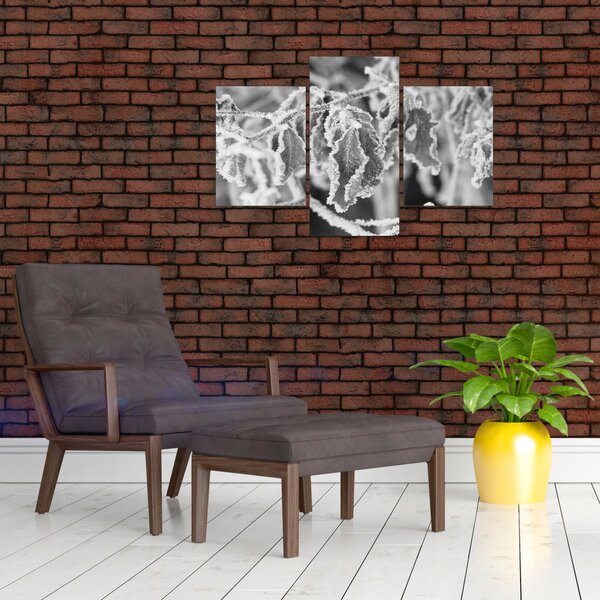 Kép - Fagyott levelek, fekete-fehér (90x60 cm)