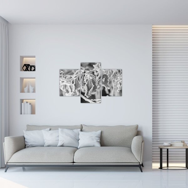 Kép - Fagyott levelek, fekete-fehér (90x60 cm)