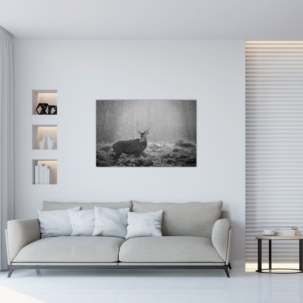 Kép - Szarvas az erdőben, fekete-fehér (90x60 cm)