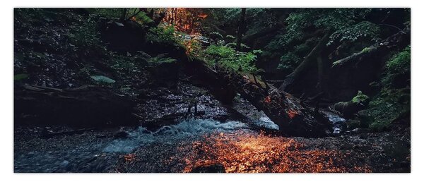 Hegyi folyó képe (120x50 cm)