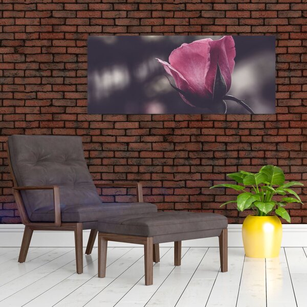 Kép - Rózsa virág részlete (120x50 cm)