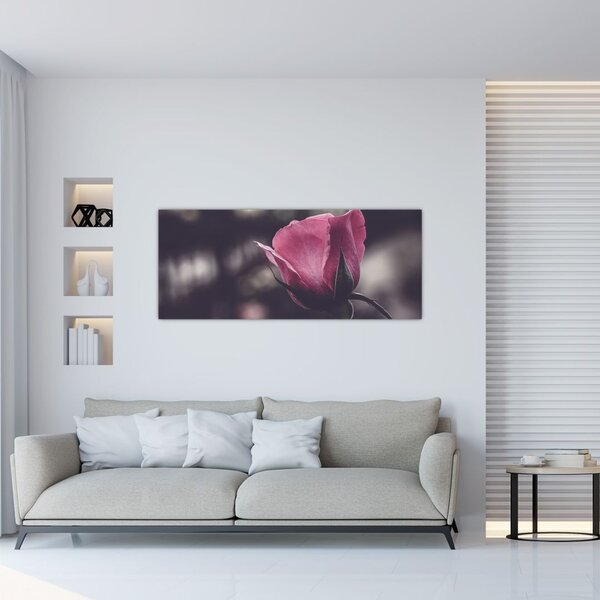 Kép - Rózsa virág részlete (120x50 cm)