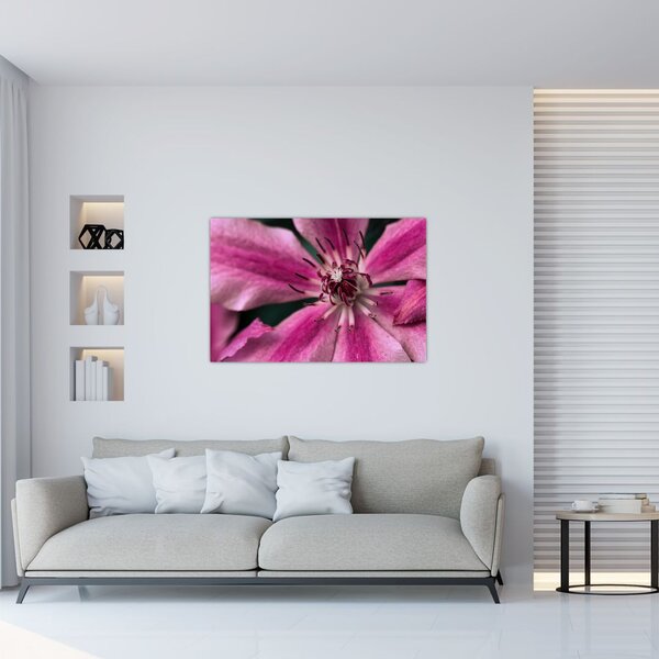 Rózsaszín flamingóvirág képe (90x60 cm)