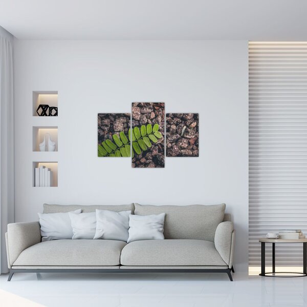 Zöld növények képe (90x60 cm)