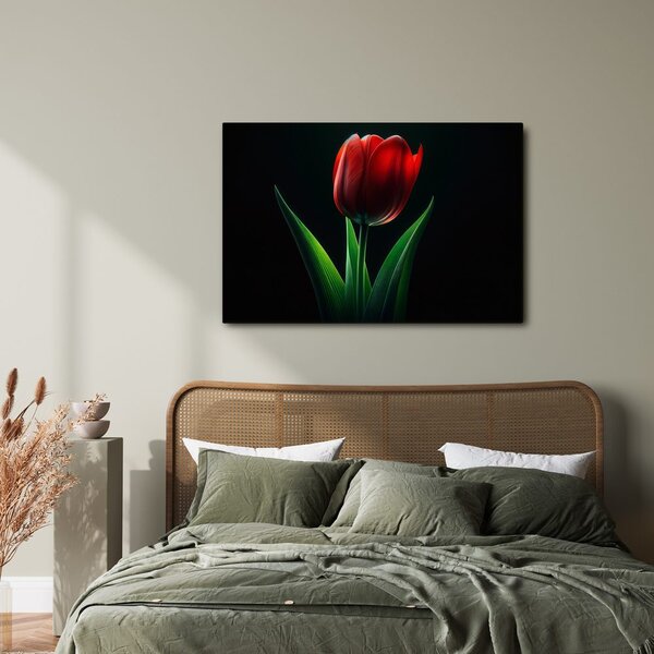 Kép vörös tulipán elegancia