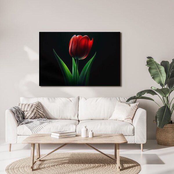 Kép vörös tulipán elegancia