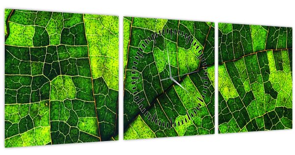 Kép - A lap részlete (órával) (90x30 cm)