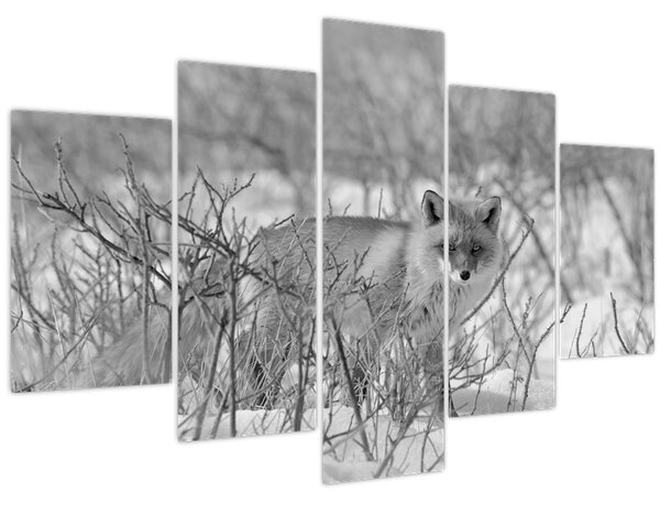Kép - Róka, fekete, fehér (150x105 cm)