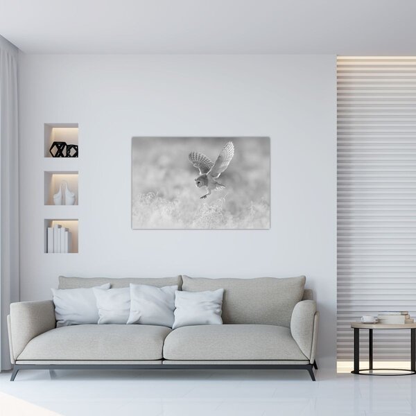 Kép - Bagoly, fekete-fehér (90x60 cm)