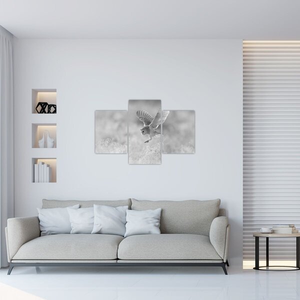 Kép - Bagoly, fekete-fehér (90x60 cm)