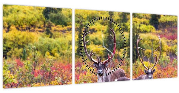 Kép - Caribou, Alaszka (órával) (90x30 cm)