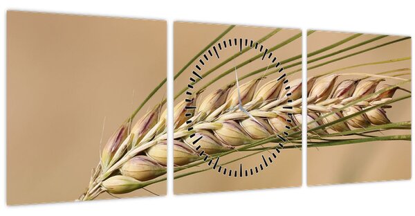 Kép - Búza (órával) (90x30 cm)