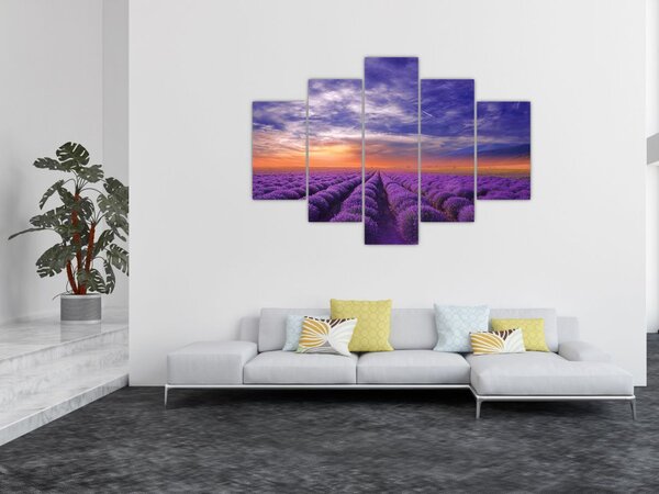 Egy levendula mező képe (150x105 cm)