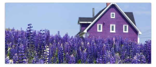 Levandula mező képe (120x50 cm)